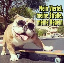 tUnbenannt.JPG