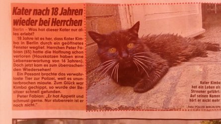 Endlich wieder zu Hause....jpg