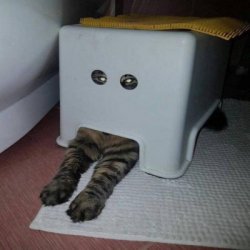 funpot0000261700_x400_y400.jpg