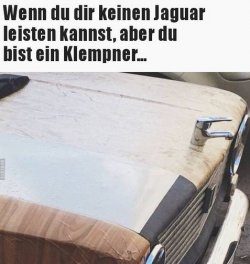 4Unbenannt.JPG