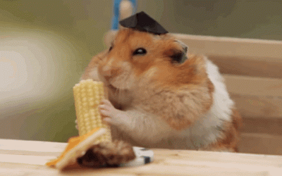funpot0000261373.gif