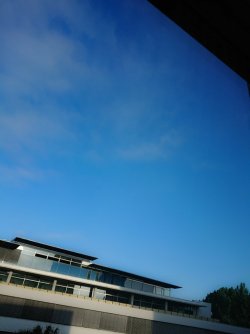 PSX_20180602_065635.jpg