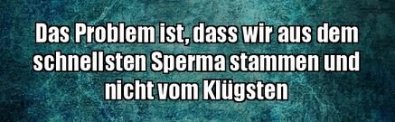 3Unbenannt.JPG