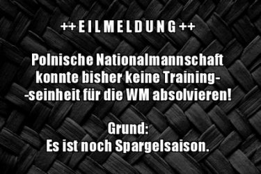 4Unbenannt.JPG