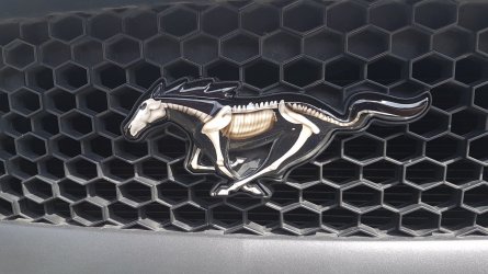 20180602_102027.jpg