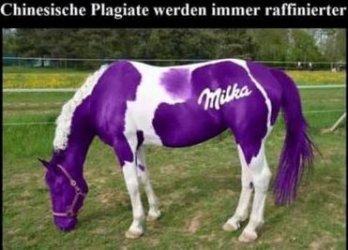 4Unbenannt.JPG