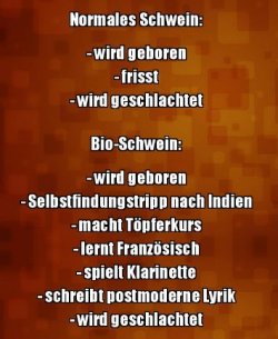 5Unbenannt.JPG