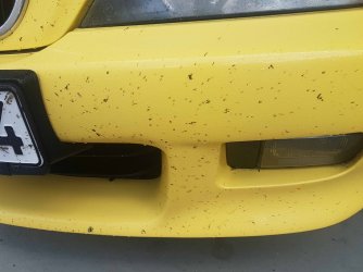 20180603_132803k.jpg