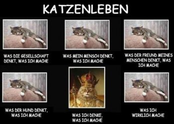 tUnbenannt.JPG