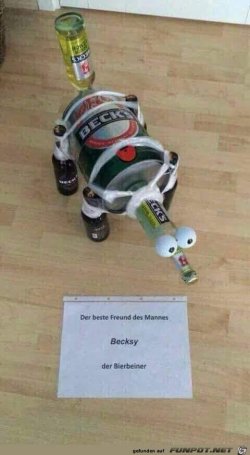 IMG-20180605-WA0013.jpg
