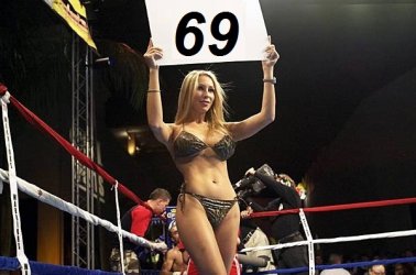 index.jpg