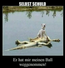 tUnbenannt.JPG