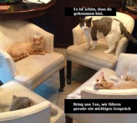 tttUnbenannt.JPG