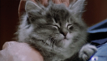 funpot0000172753.gif