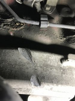 IMG_7904 - Kopie.JPG IMG_7904 - Kopie.JPG