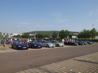 P7187392.gif