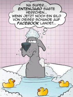 1Unbenannt.JPG