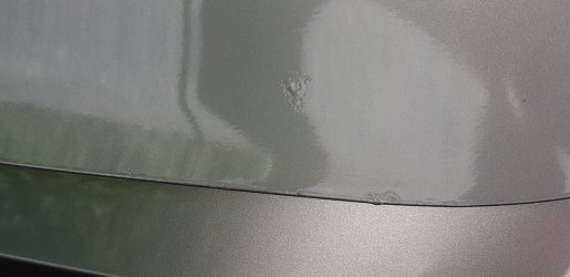 20180619_110147.jpg
