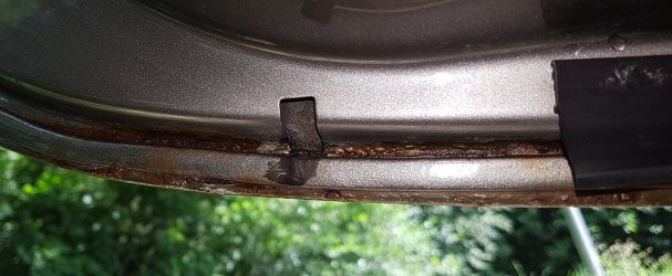 20180619_110125.jpg