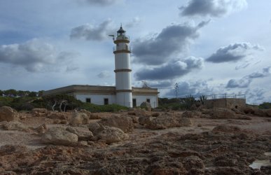 DSC_0132.jpg