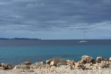 DSC_0146.jpg