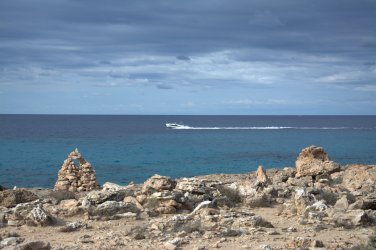DSC_0147.jpg