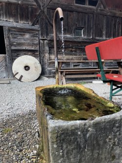 IMG_0553.jpg IMG_0553.jpg