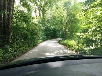 20180624_091204.jpg 20180624_091204.jpg