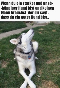 tUnbenannt.JPG