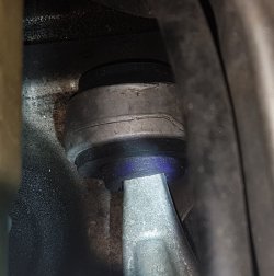 20180628_105349.jpg