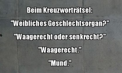 3Unbenannt.JPG