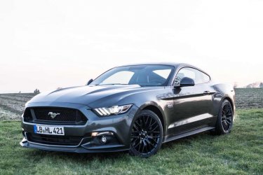 Mustang frontal_0066_Groß.jpg