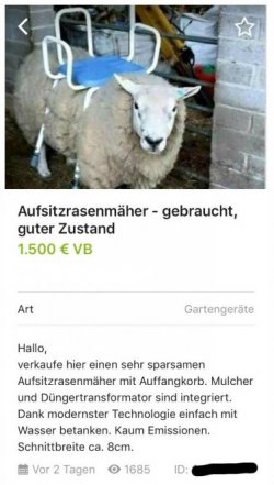 3Unbenannt.JPG
