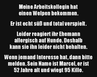 7Unbenannt.JPG