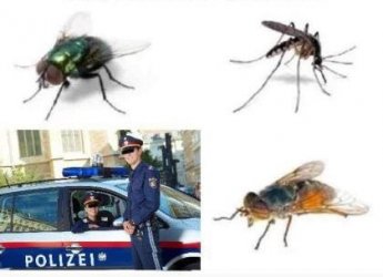 1Unbenannt.JPG