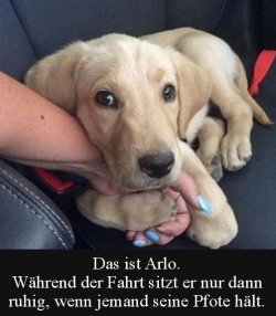 tUnbenannt.JPG