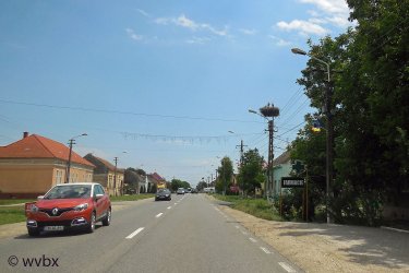 T02_0063.jpg