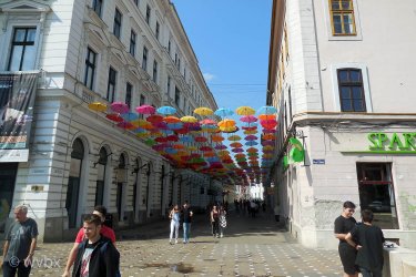 T02_0065.jpg
