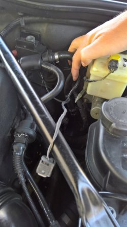 WP_20180708_13_47_08_Rich.jpg