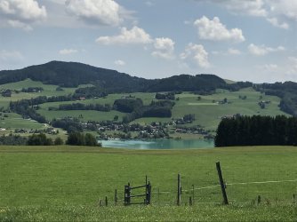 4E2A3B27-234B-483B-A15A-0C056202252F.jpeg