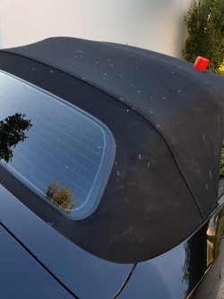 20180716_200327 (Medium).jpg