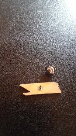 Z4-Pin.jpg