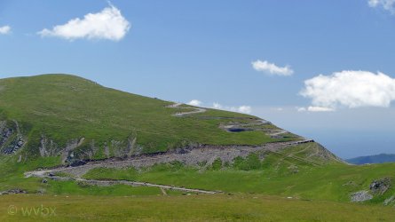 T04_0130.jpg