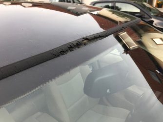 e91.jpg
