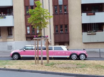 20180721_201549.jpg