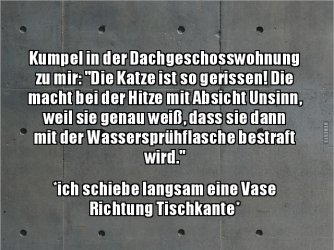 20180727_093207.jpg
