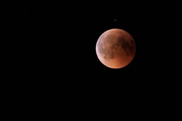 IMG_2013a.jpg