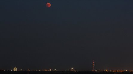 IMG_1986_klein.jpg