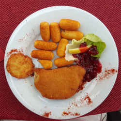 Schnitzel 20.png