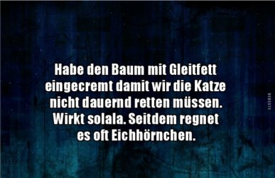 20180730_104217.jpg